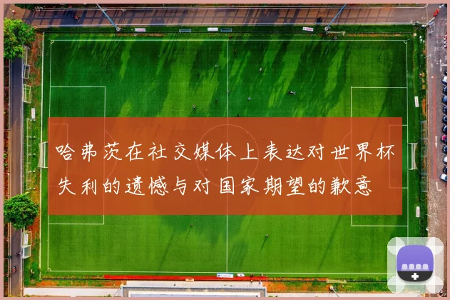 哈弗茨在社交媒体上表达对世界杯失利的遗憾与对国家期望的歉意